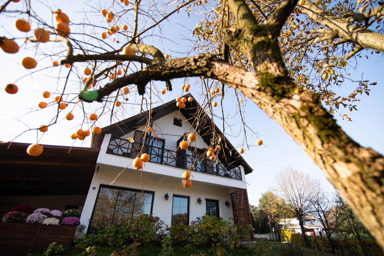בורסה Villa Nora Butik Otel Ve Bungalov מראה חיצוני תמונה